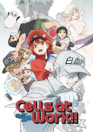 Hataraku Saibou!! Season 2